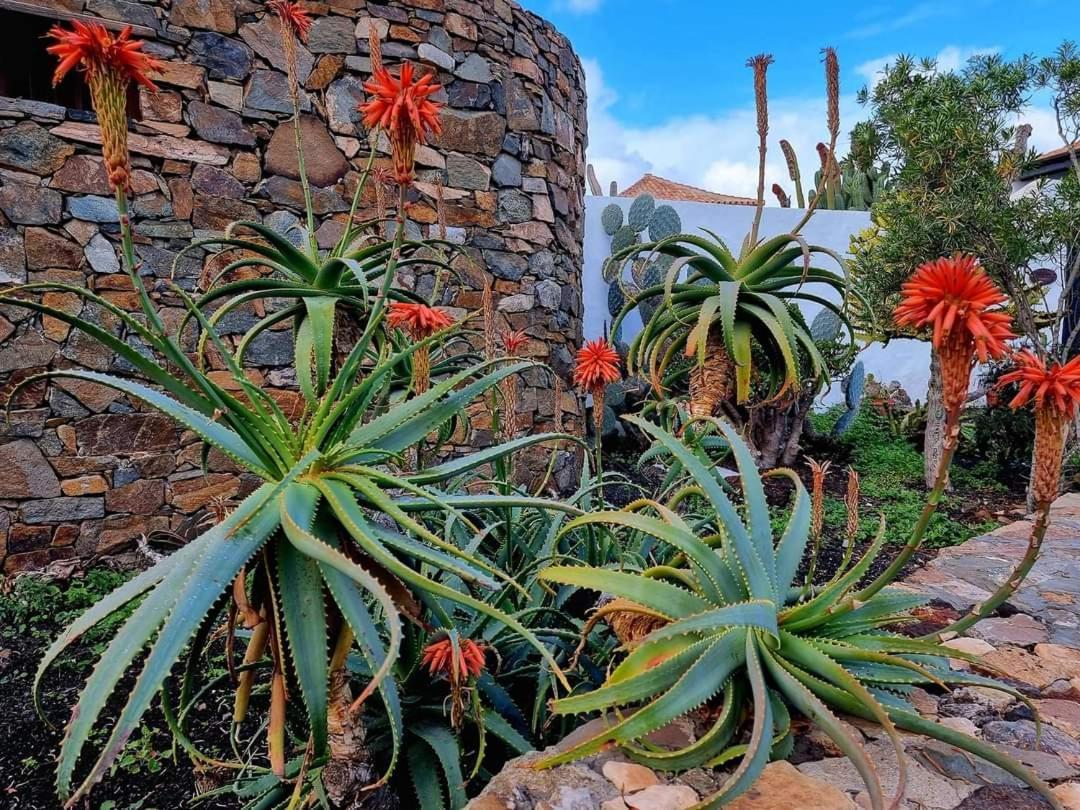 Casita De Lea Lägenhet Costa De Antigua Exteriör bild